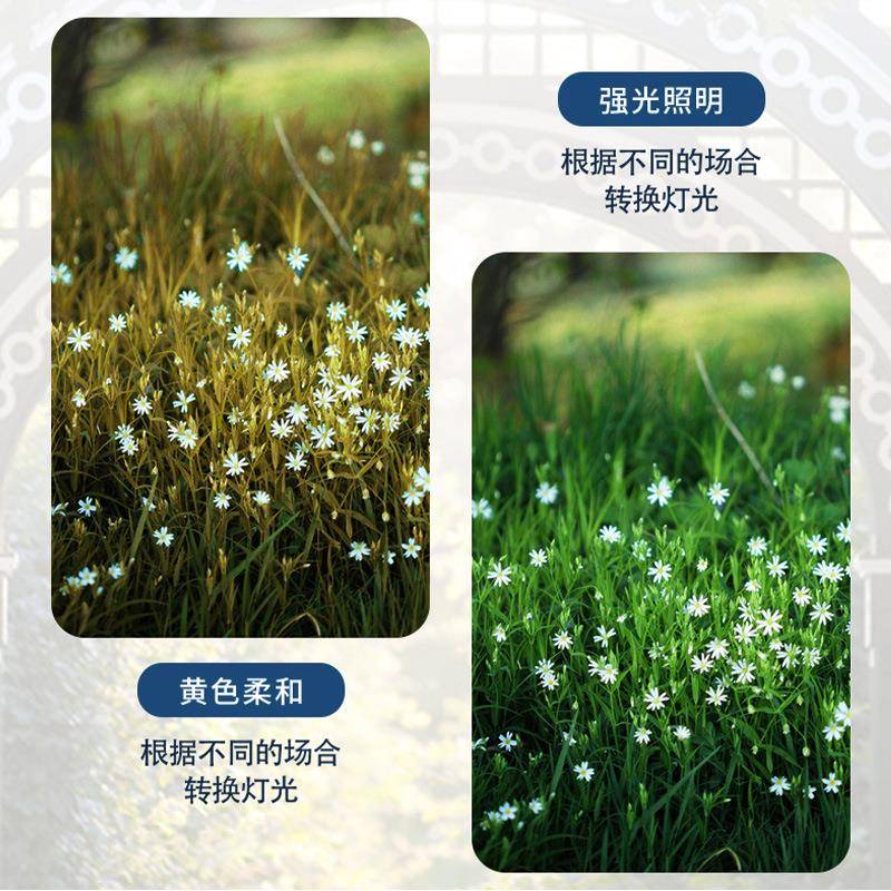 太阳能壁户外ZVA大门口花灯园别灯墅阳台仿古庭院外墙室新中式壁
