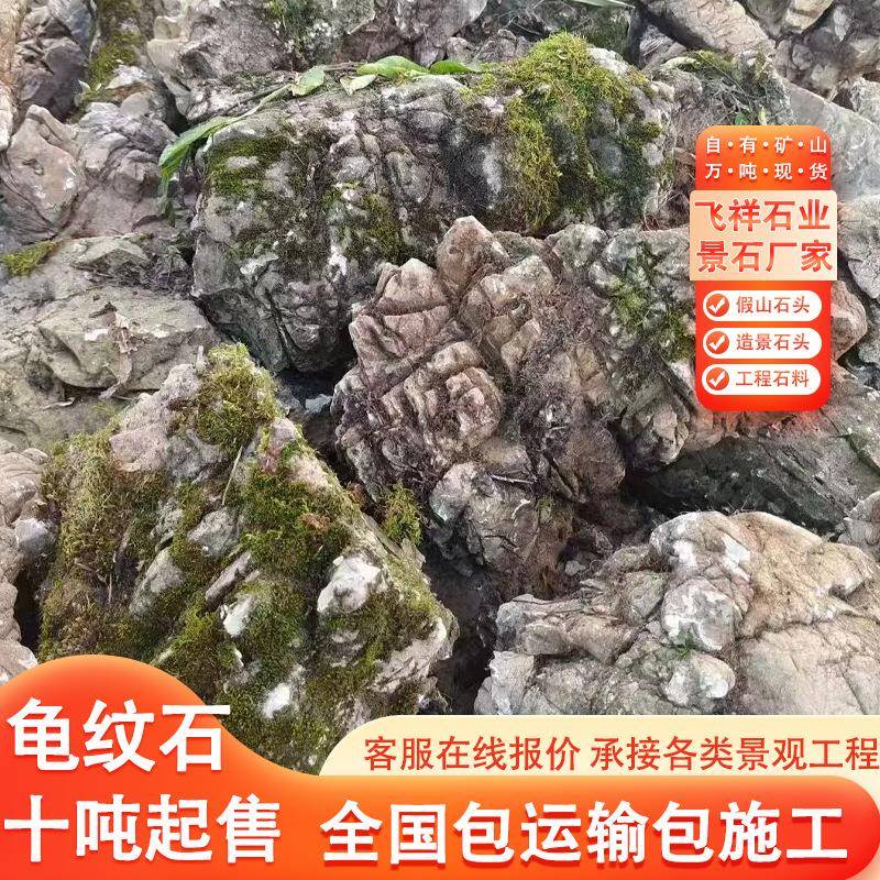 龟纹石驳点假岸造景坡石河道护石头山石料公园草坪缀景石道龟纹石