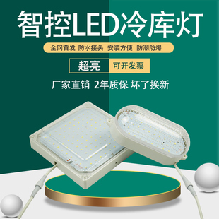 智控冷库专用LED灯8W/10W/12W/15W/20W25W防水接头防水防爆耐低温