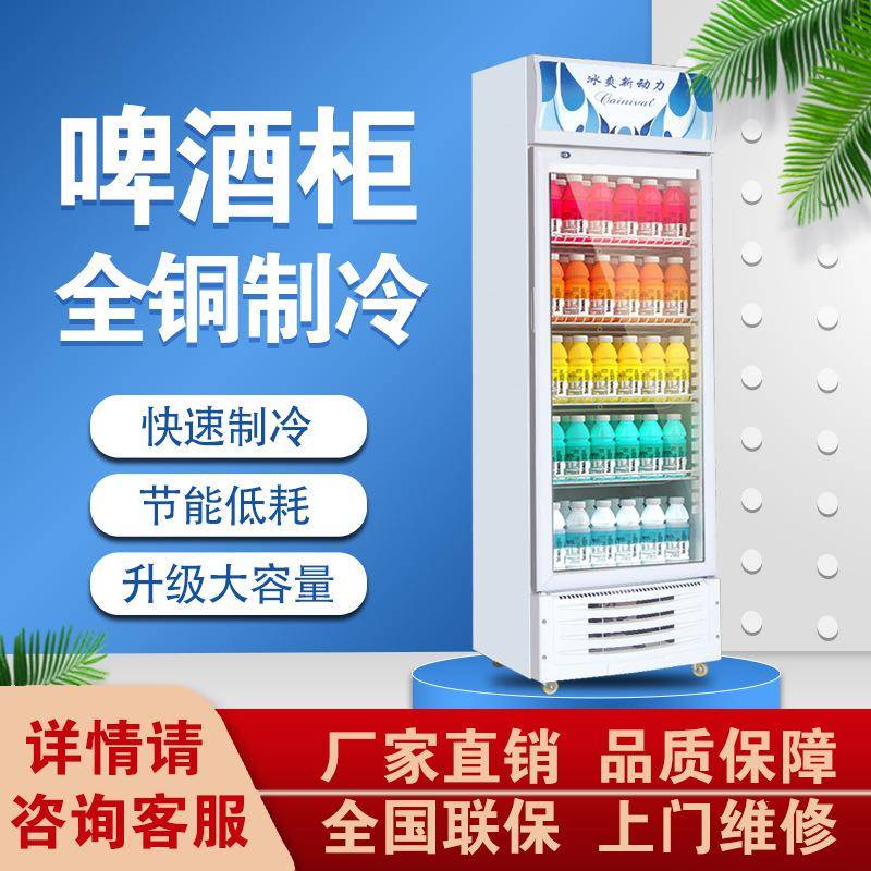 冷藏展示柜饮料柜冰柜商用立式双门保鲜柜啤酒冰箱冷柜玻璃门立柜