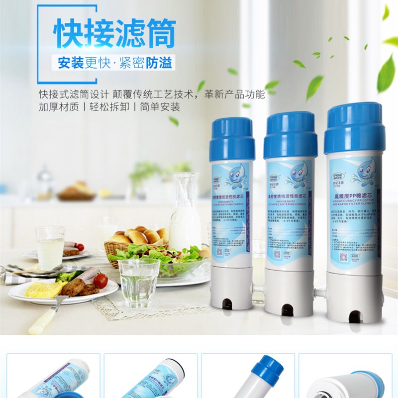 世纪丰源饮水机滤芯通用10寸快接式净水器PP棉颗粒炭烧结活性炭