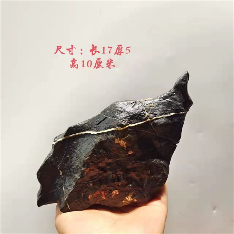 天然石灵璧石盆景石 鱼缸造景 龟纹石 根抱石 花盆造景  盆景石料