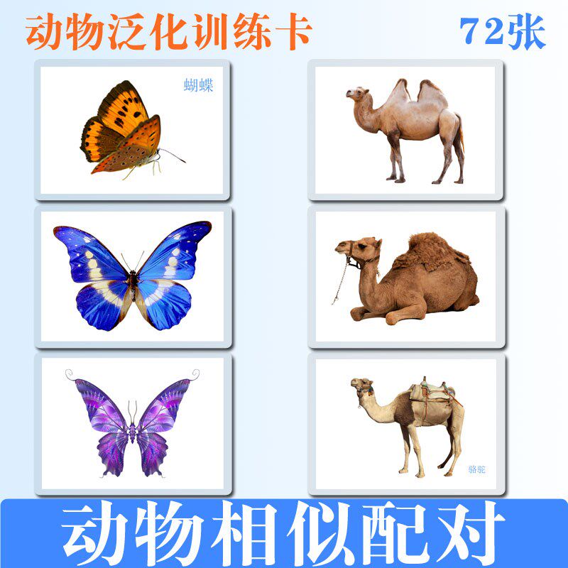 幼儿童 早教认知卡片 动物相似配对训练  自闭症语言发育迟缓教具