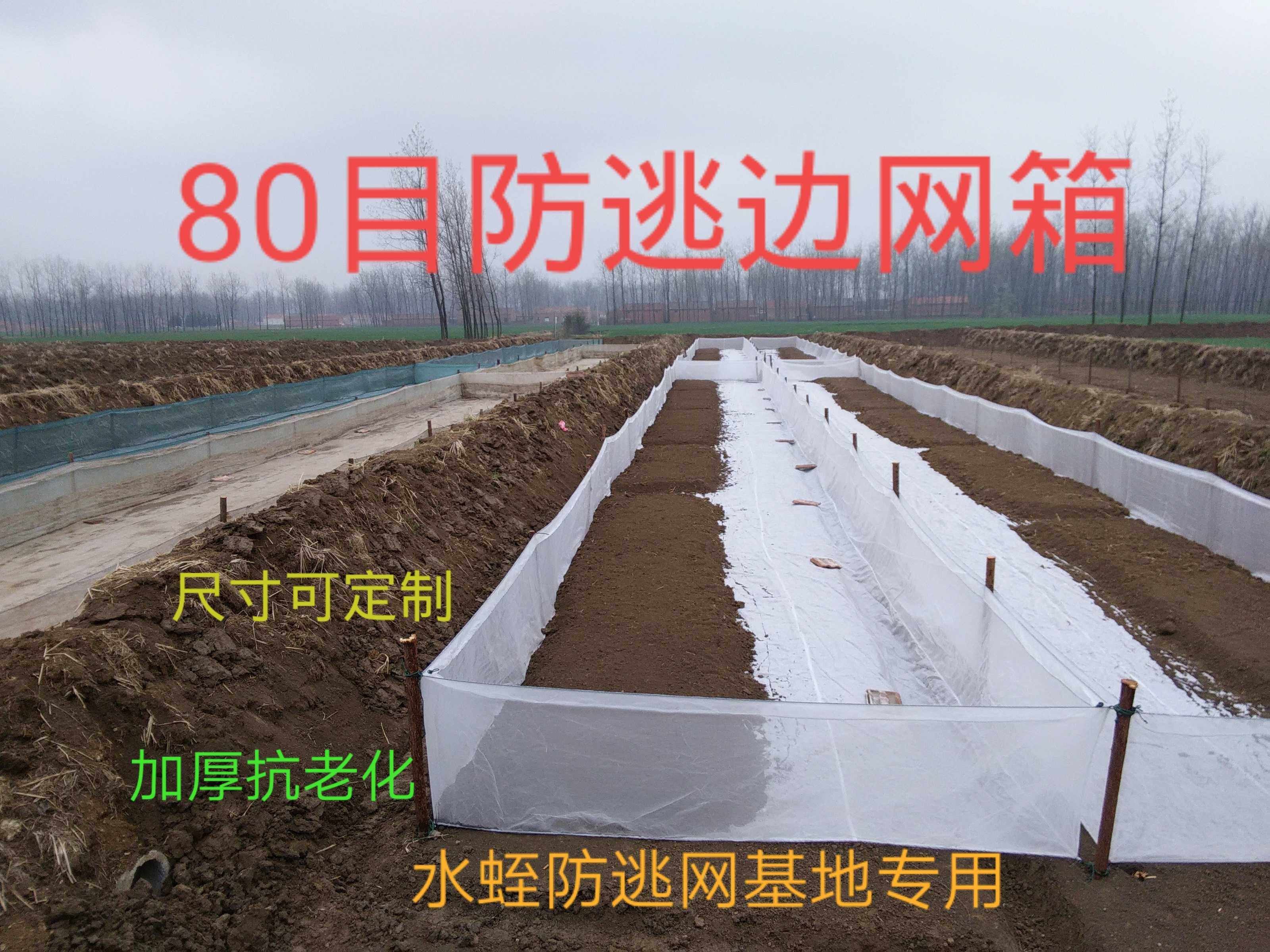 80目网箱养殖网防逃网 水蛭龙虾泥鳅黄鳝鱼苗幼苗 加厚网孵化苗定