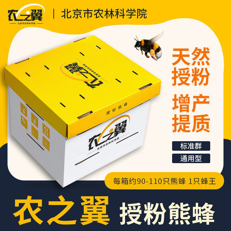 授粉熊蜂大棚花期通用专用蜂群蓝莓草莓番茄黄瓜北京农科院熊蜂箱