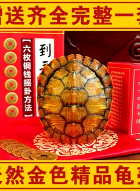 天然精品真乌金龟壳真龟甲文玩6六爻铜钱易经64卦算挂摇卦手把件