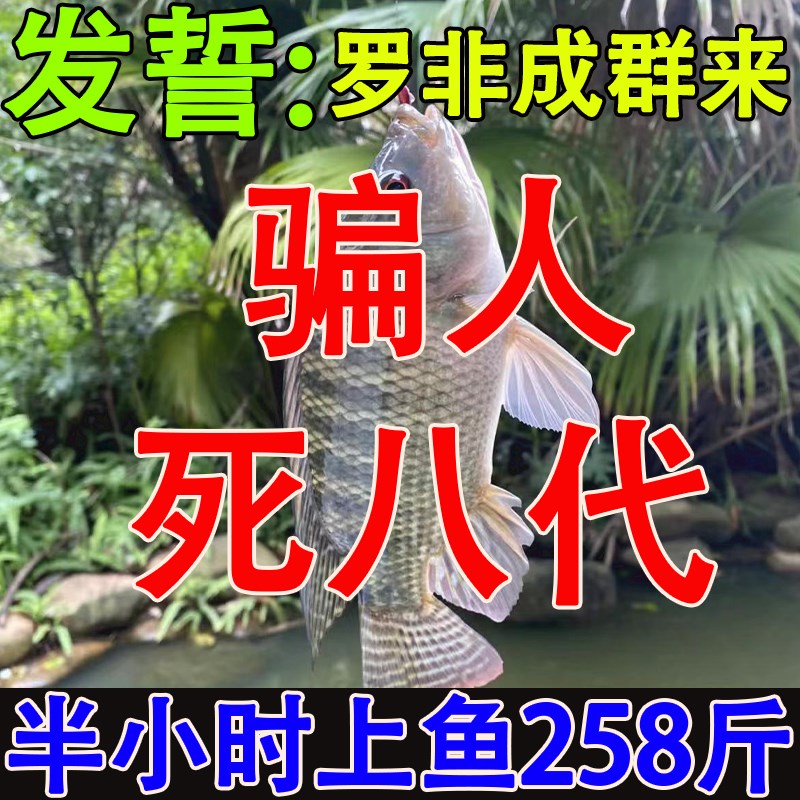 罗非鱼饵料野钓黑坑一包搞定专攻大罗非腥香味散炮饵料打窝料鲫鲤