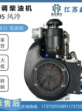 双直列风冷四冲程备295FD柴柴油机21XM295FDKW电缸调油机发电机设