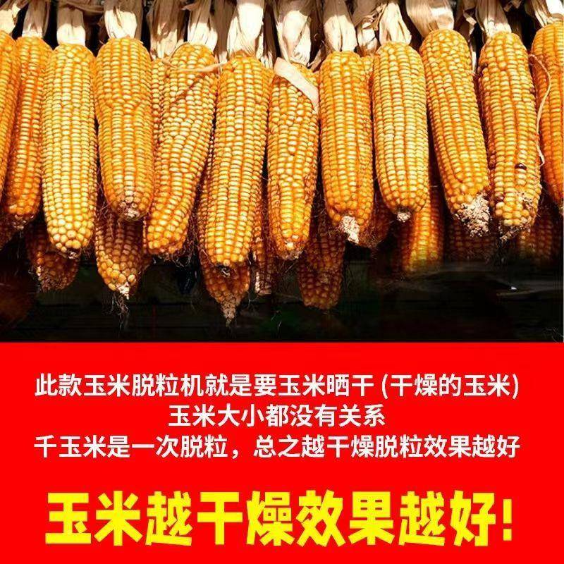 自动玉米脱粒剥机用小家型电动玉米机苞谷PUV分离机全新