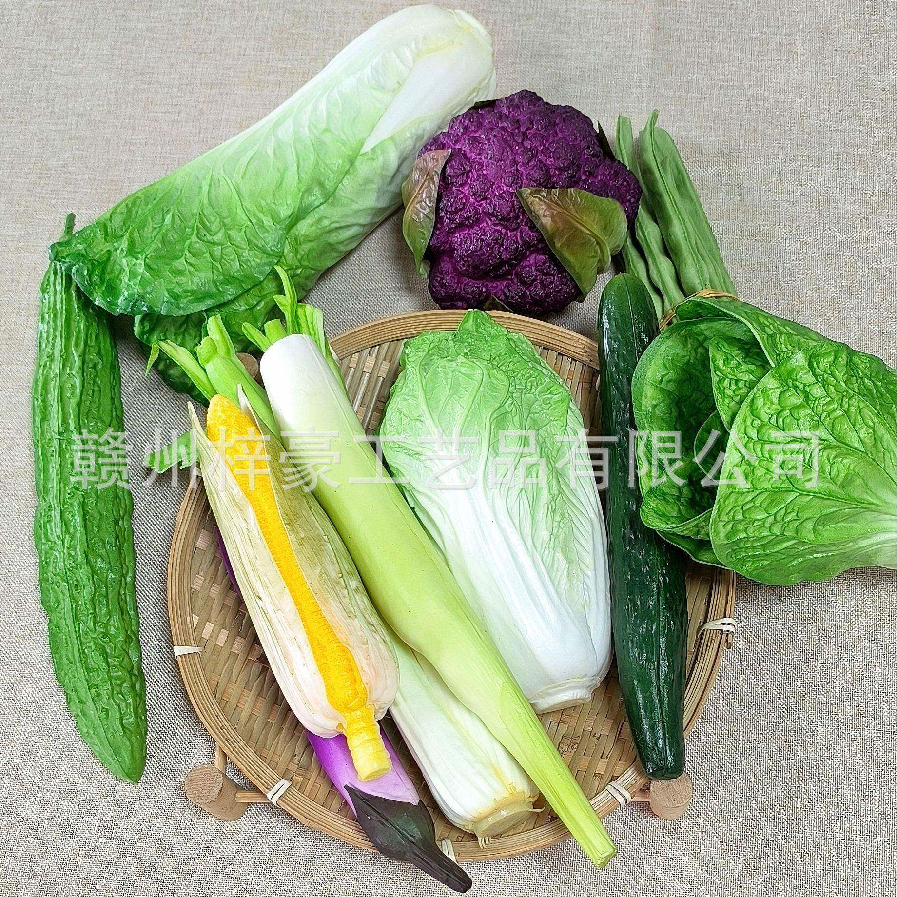 仿真蔬菜模型料假水果菜青面包冰箱橱柜塑样091板房儿童教装饰道