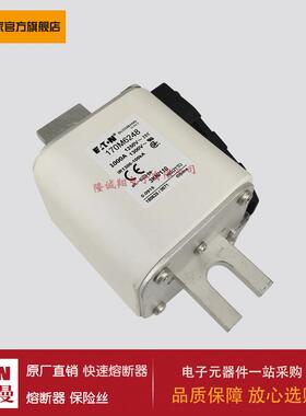熔断器170M6248 170M6249 170M6250 170M6251 170M3408 170M3409