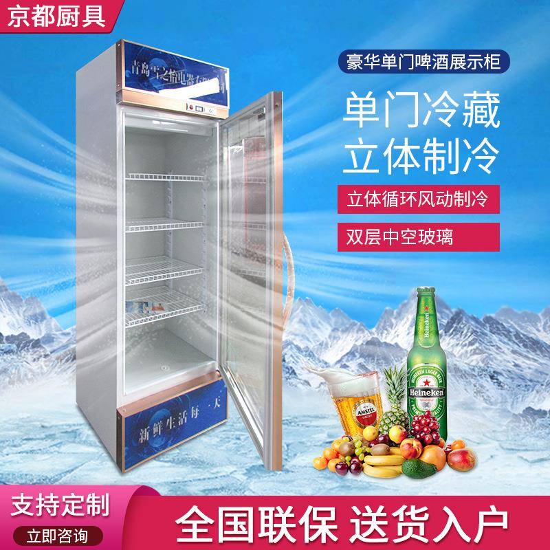 豪华单门啤酒展示柜厂家啤酒柜商用冷藏保鲜柜酒吧酒水冰柜