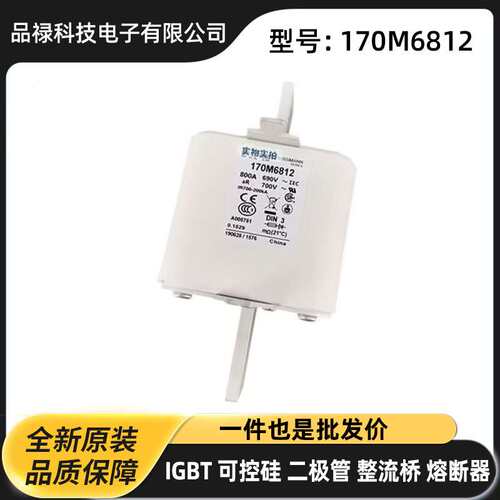 170M6569 170M6570 170M6571原盒快速熔断器 保险丝 直流熔芯原装
