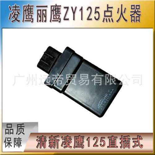 适用踏板车凌鹰ZY125T-3-A丽鹰125飞鹰讯光巡鹰CDI电子点火器