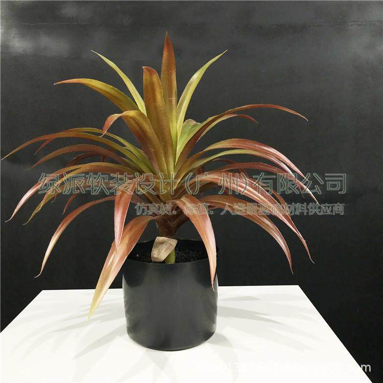 仿真龙舌兰白边金边剑麻剑兰树假树客厅装饰丝兰树大型植物盆景,鲜花速递/花卉仿真/绿植园艺,割草机/草坪机,淘宝优惠券,粉丝福利购,淘宝优惠卷