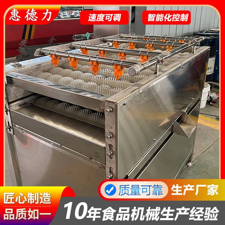 连续式甘蔗清洗 小型不锈钢甘蔗清洗去泥沙设备 软毛刷去灰尘机