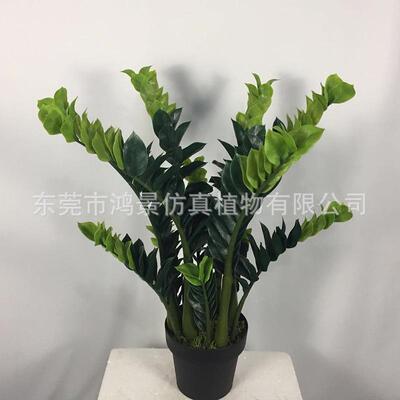 仿真YLV金钱树厂造造家人假树盆栽家风水树安金钱树人招财树居装