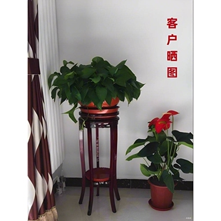 花架实木客厅中式单个置物落地室内鱼缸放盆景的小架子家用木质矮