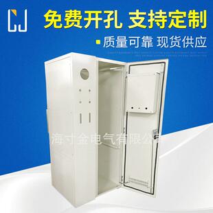 【上海寸金】 不锈钢气瓶柜 实验室专用设备 可按要求