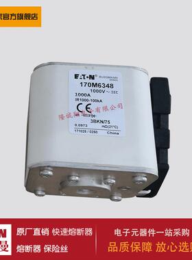 熔断器170M6254 170M6308 170M6309 170M6310 170M6311 170M6312