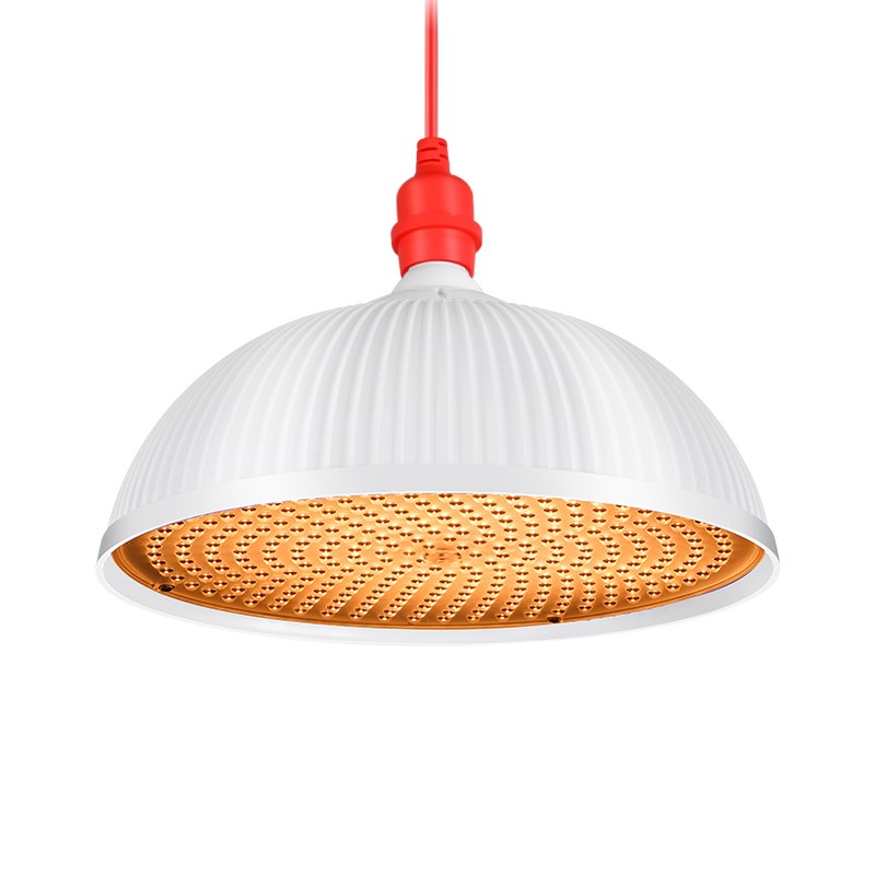 202新款新国标LED熟食生鲜灯海鲜水果蔬菜新规专用鲜肉暖黄光