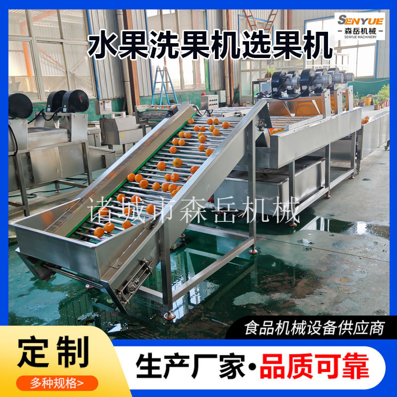 沃柑洗果机脐橙清洗选果机砂糖橘带叶果清洗保鲜设备陈皮柑清洗机