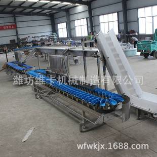 盒式全自动牡蛎多级重量分选机 海鲜称重分拣机 生蚝海蛎子分级机