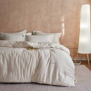 LIIESEN丽笙25新款荣耀35李官奇大豆被子被芯 150*200冬被 被子子