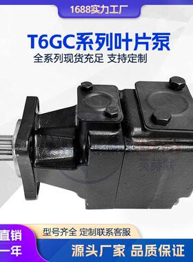 液压泵 供应丹尼逊 派克T6GC叶片泵塑胶压铸机油泵液压泵高压泵