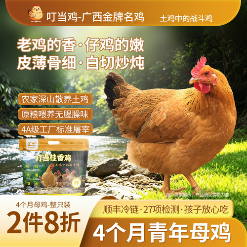 2只8折叮当鸡120天散养广西土鸡