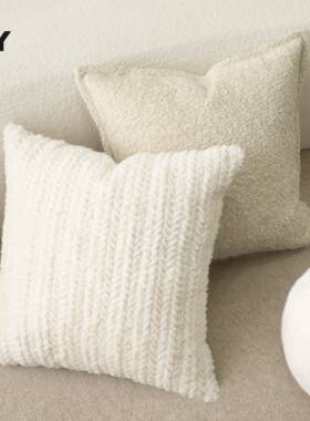 客厅含发抱枕垫轻奢感靠样沙板间ECZ靠枕套不芯白色