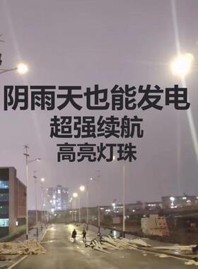风能太阳能灯一体化6/8米风光互补风力发FG-32065电户le庭d院路灯
