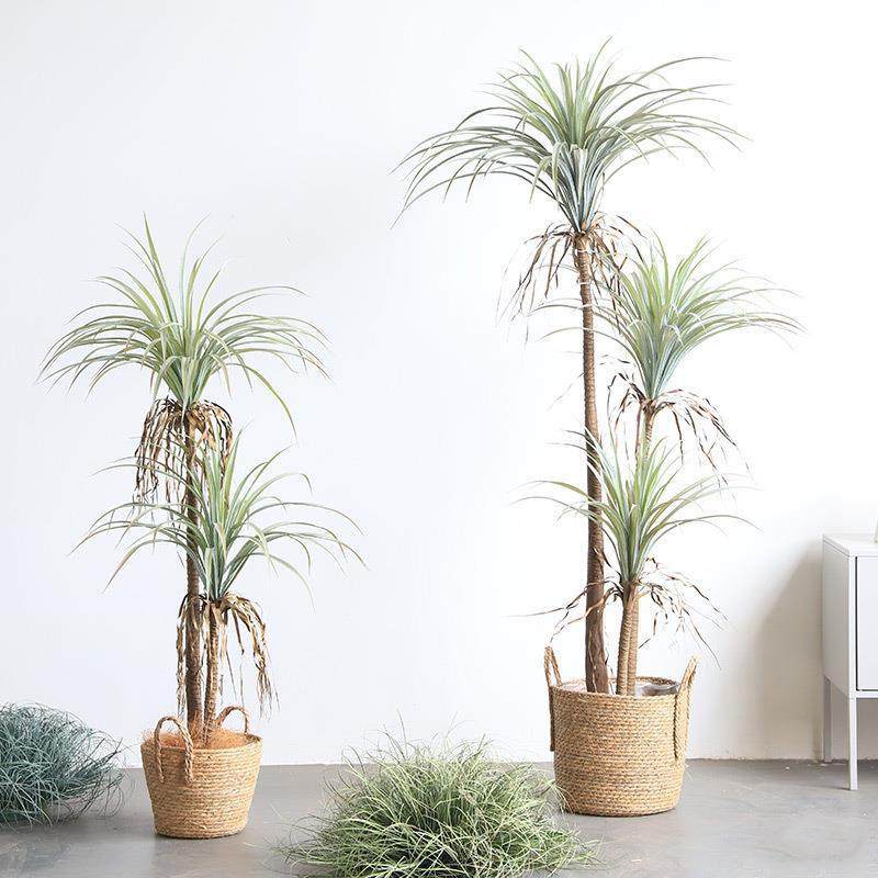 仿真绿植新款龙血树落地盆栽家居氛围好物造景布置木丝兰树盆栽,电子元器件市场,其它元器件,淘宝优惠券,粉丝福利购,淘宝优惠卷