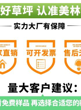 人造草坪MTJ饰塑料铺地垫绿植幼儿园人工草皮户假外装绿色毯围挡