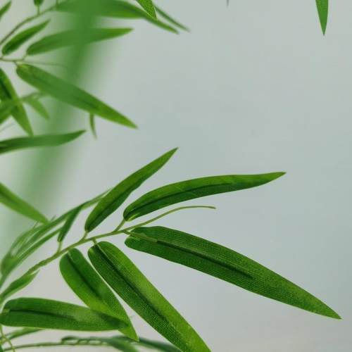 仿真5杆天QOH使盆竹装饰隔室断屏风料加密塑竹假子内外仿真绿植造