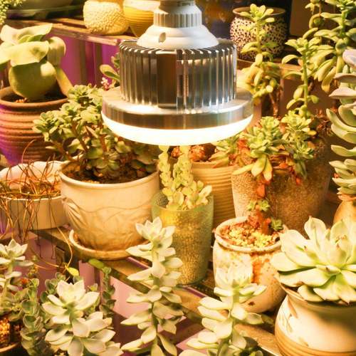 E2卉7接口260珠全光谱植物灯150大W功率QVW光暖LED灯绿植花生长灯