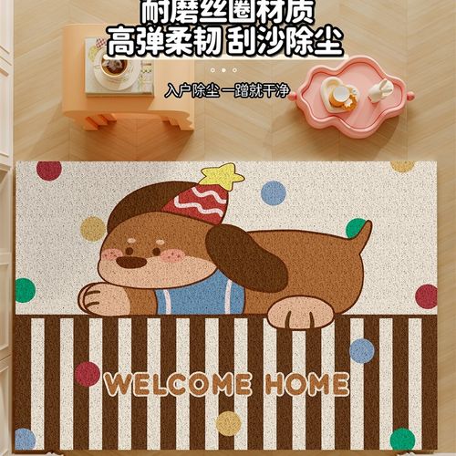 可爱卡通入户门地垫丝圈大门口换鞋除尘门垫进门防滑耐脏地毯垫子