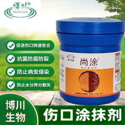 博川尚涂博涂非糊涂金弹子大树盆景果树锯口流胶病伤口愈合涂抹剂