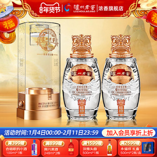 泸州老窖 定制酒醇狮窖响 52度浓香型白酒礼盒500ml*2瓶 礼盒包装