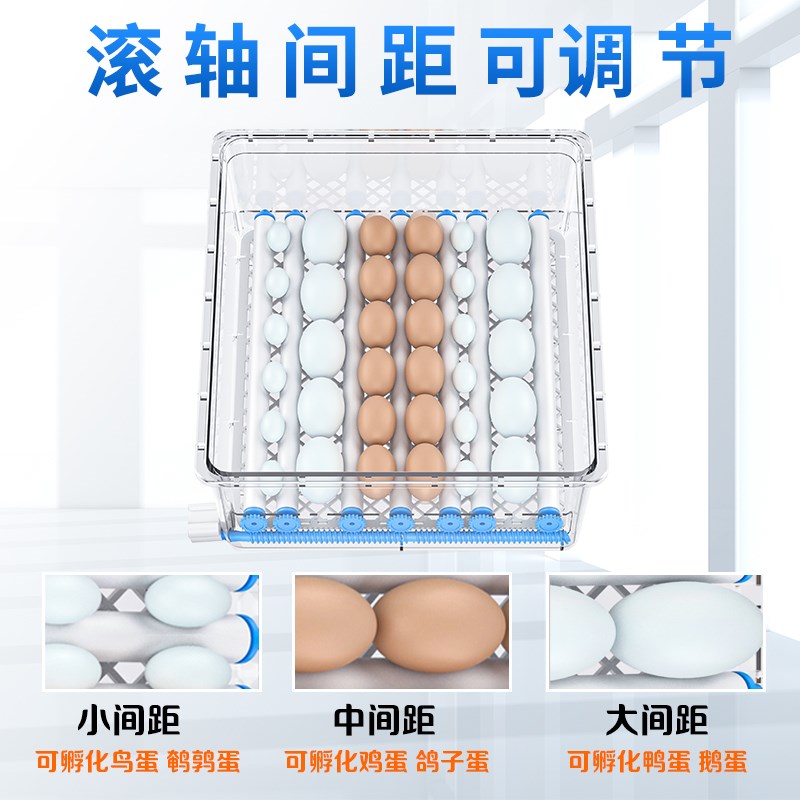 孵化器小型家用智能孵蛋器全自动孵化机芦丁鸡卵化器孵化箱孵蛋机