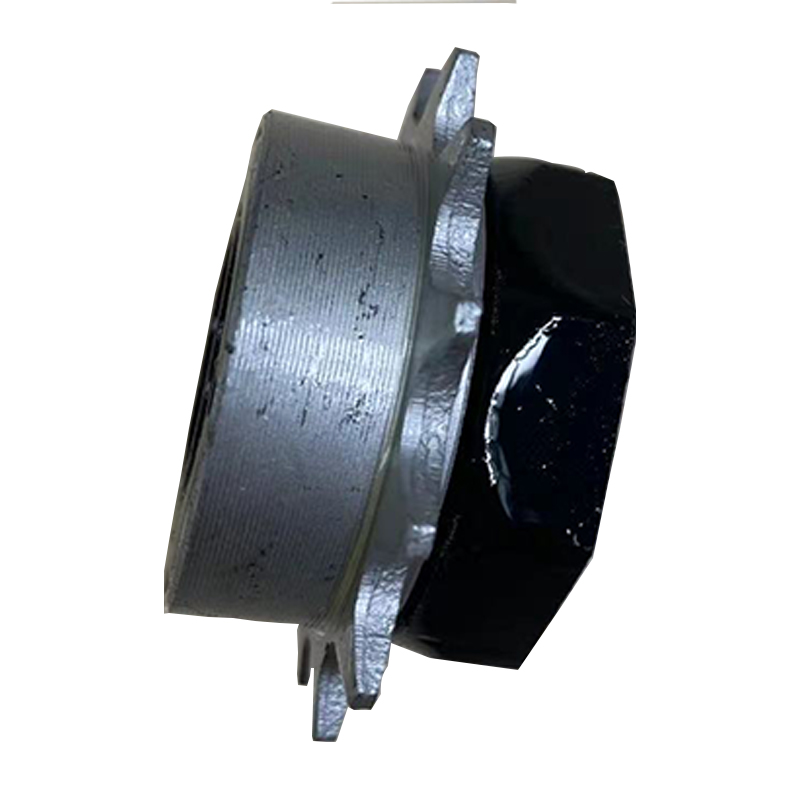 DYU大鱼智行车电动车D2D3S2V1原装通用后轮飞轮卡槽链条齿轮