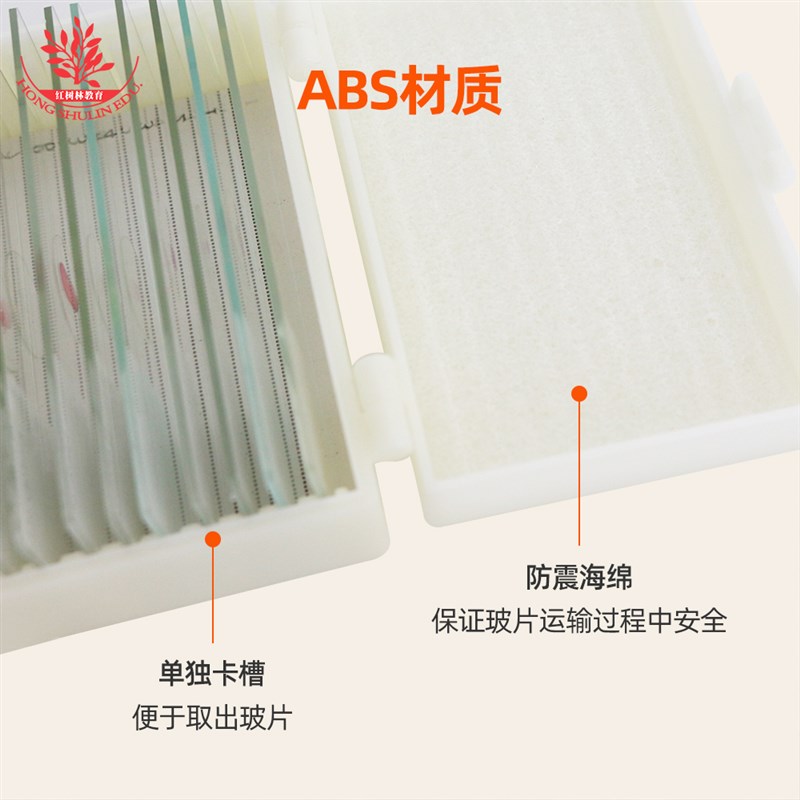 10种种原生动物装片装眼虫钟虫轮虫团藻鼓藻显像清晰显微玻片