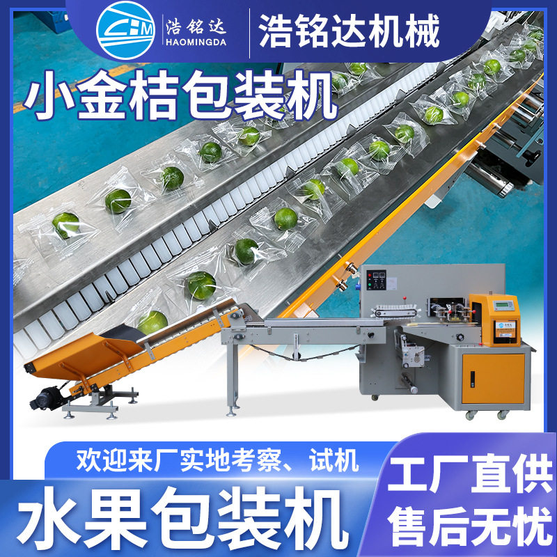 全自动水果包装机 脐橙柠檬小金桔套袋打包机 小青桔橙子包装机