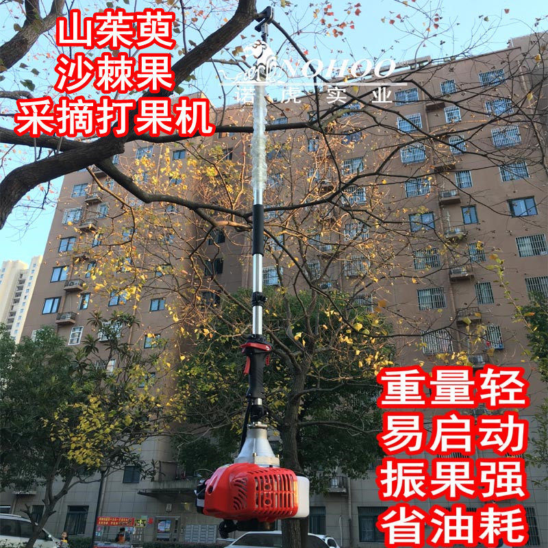核桃采摘机 打板栗机 青梅沙棘山茱萸打果机 橄榄摘坚果采收机器