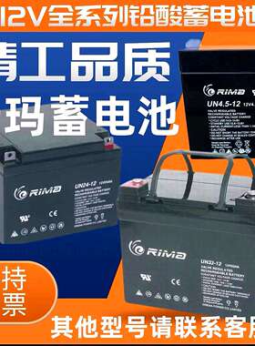 RIMA瑞玛蓄电池UN12V100 7 17 24 38 40 65 120AH机房直流屏专用