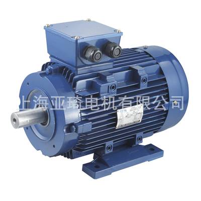 3-PHASE INDUCTION MOTOR 三相异步铝壳电动机 微型电动机