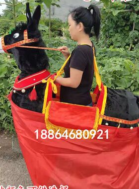 跑毛驴道具赶马小毛驴社火演出用品赶马小跑驴秧歌舞龙舞狮闹元宵