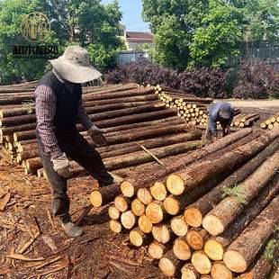 林场直供杉木绿化杆小区道路支撑杆建筑工地河道打桩木杉木桩原木