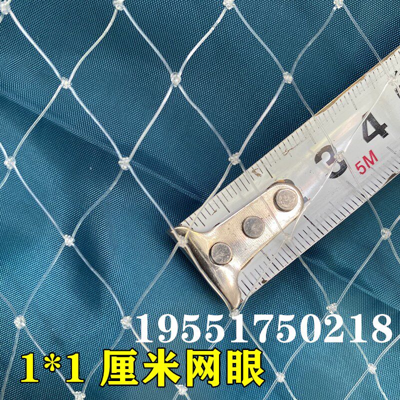 果园防鸟用网果树樱桃葡萄梨树蓝莓草莓大棚防鸟用的网天网防鸟网