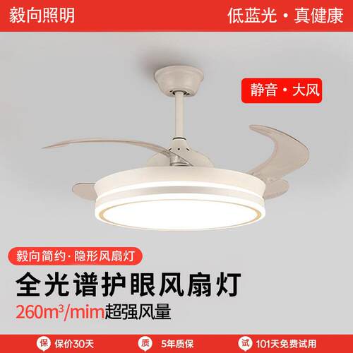 现代简约吊扇灯客厅带电风扇吊灯一体家用餐厅卧室48寸隐形风扇灯